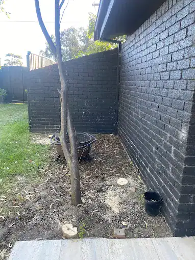 Tree removal site beside black brick wall in Melbourne.