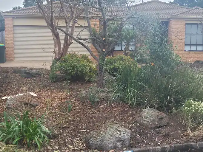 Melbourne-based tree removal by Precision Arbor Care with professional equipment.