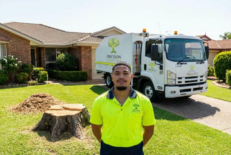 The Cheapest Way to Remove a Tree in Melbourne (Honestly)