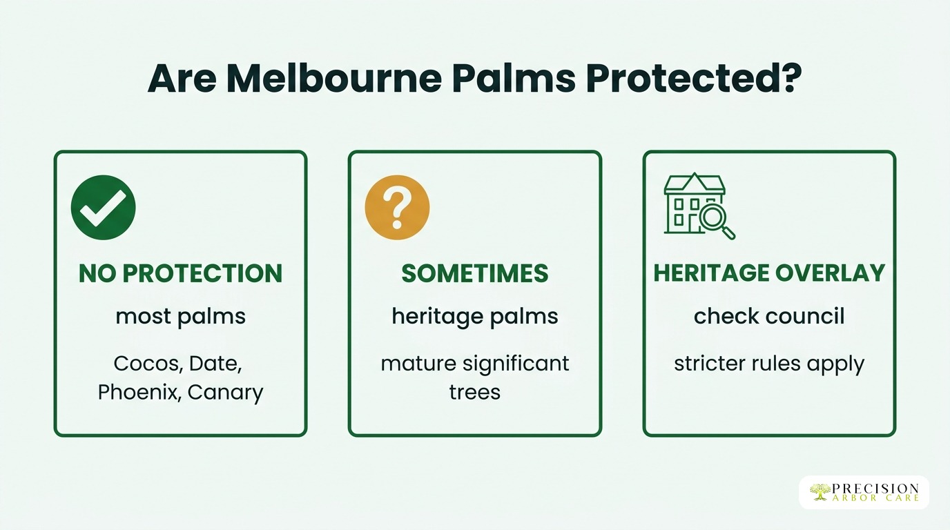 Are Melbourne palms protected — no protection, sometimes, heritage overlay