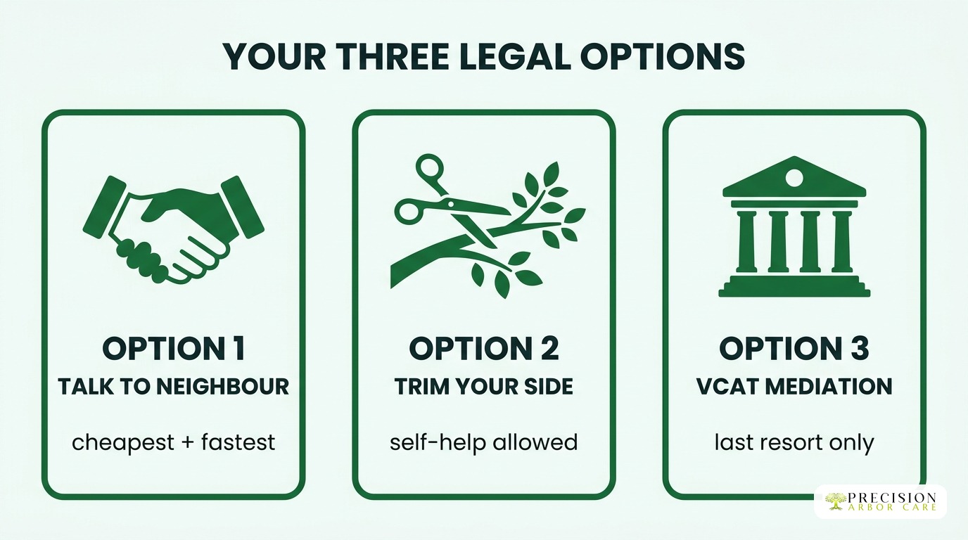 Your three legal options for a neighbour's tree — talk to neighbour, trim your side, VCAT mediation